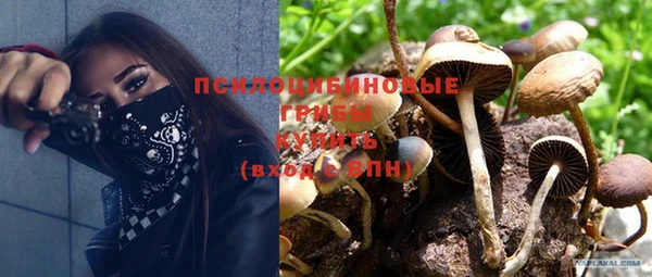 дживик Нефтегорск