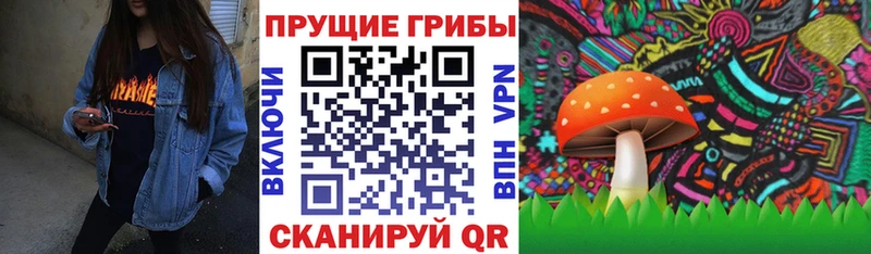 Галлюциногенные грибы Psilocybe Купить Харабали