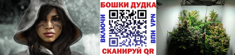 Купить закладки  Харабали  Канабис сатива 